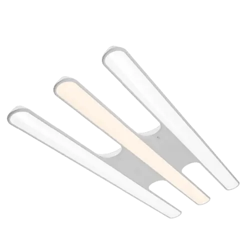 D-Tec Brite Triton
